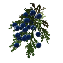 Alpine Juniper Berry