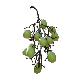 Grape