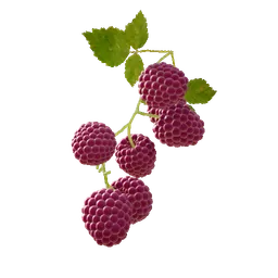 Raspberry