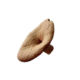 Chanterelle