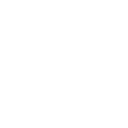 Blaze I
