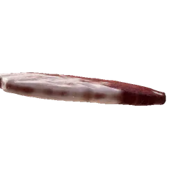 Boar Flank Meat