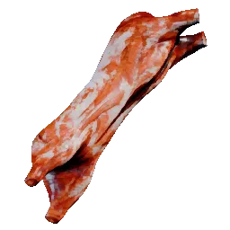 Boar Carcass