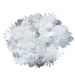 Wool Fiber