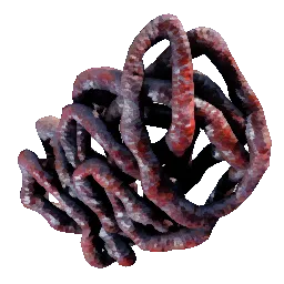 Animal Intestines