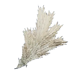Barley Grain