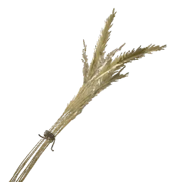 Wheat Grain