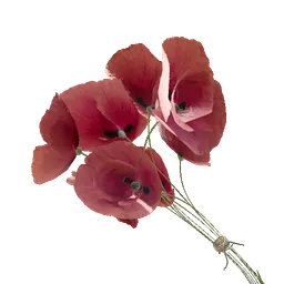 Red Poppy