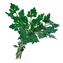 Parsley