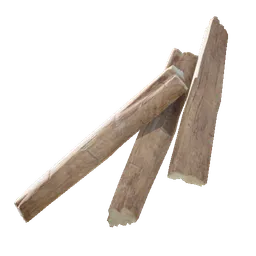 Sapwood
