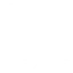 Slam