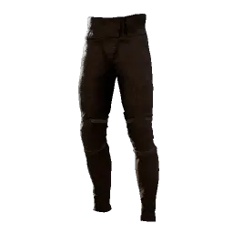 Passable Leather Pants